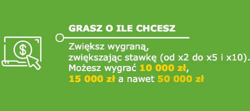 Grasz o ile chcesz. Zwiększ wygraną zwiększając stawkę (od x2 do x5 i x10). Możesz wygrać 10 000 zł, 15 000 zł, a nawet 50 000 zł