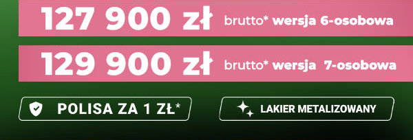 JAC JS8 Pro. Więcej miejsca na wiosenne przygody!