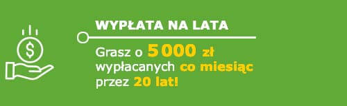 Wypłata na lata. Grasz o 5000 zł wypłacanych co miesiąc przez 20 lat.